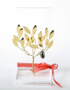 Handmade bronze gift business card case with olivetree in plexiglass.