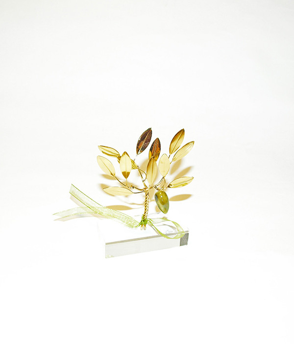 Brass handmade olive tree of life in plexiglass